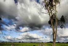 苏翊鸣将再冲击金牌!多项国际冰雪赛事将亮相北京人民日报客户端.