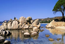 欧博官网：全运会成年组江苏天津河南都有夺冠希望！U20成沪鲁争霸.